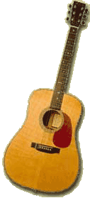 Western-Gitarren im WebShop